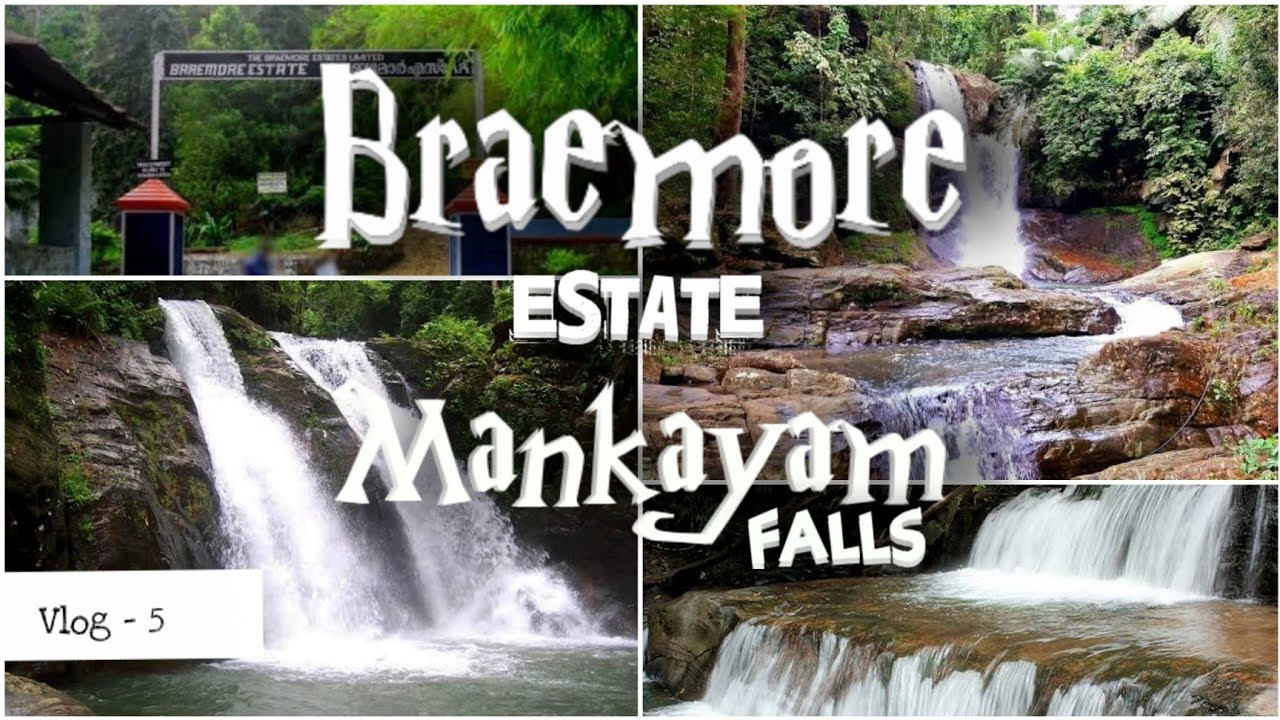 MANKAYAM WATERFALLS REOPENED | BRAEMORE | TRIVANDRUM | THINGS TO KNOW | VLOG - 5