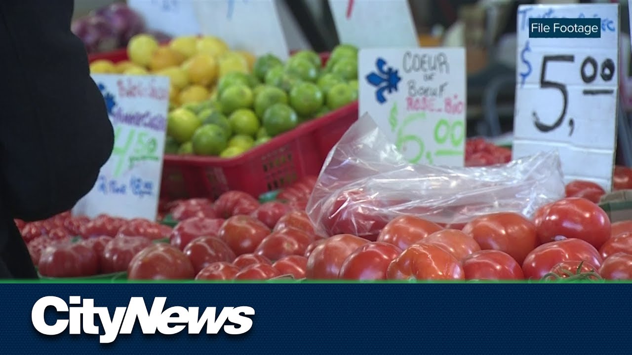 Cost of healthy groceries for a family of four up by 15% in Montreal