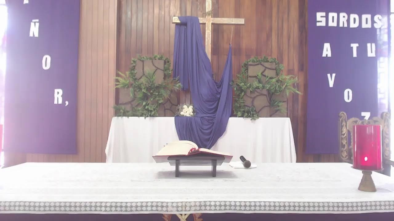 SANTA MISA  12 pm
