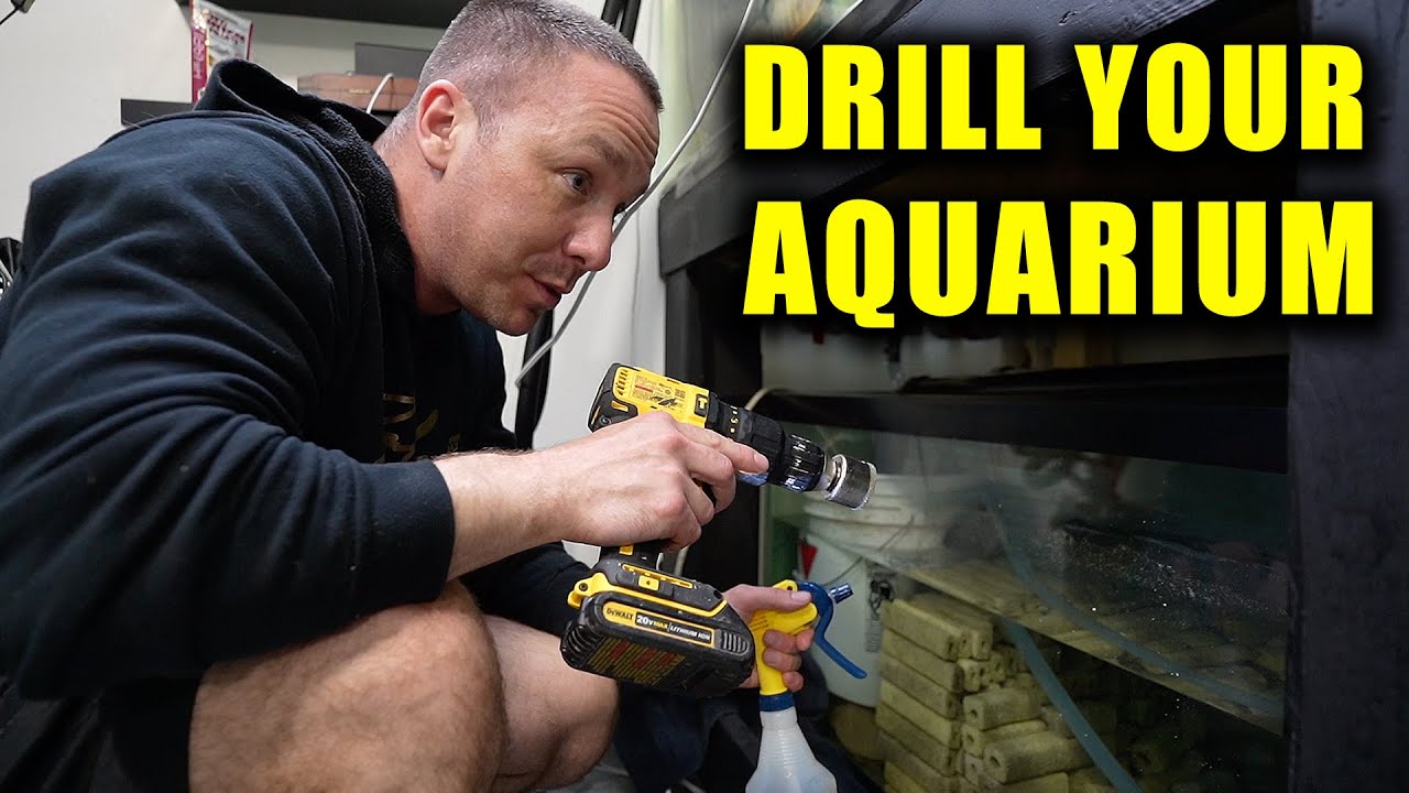 HOW TO DRILL AN AQUARIUM FILLED WITH WATER FOR BULKHEAD, FISH TANK SUMP AND PLUMBING