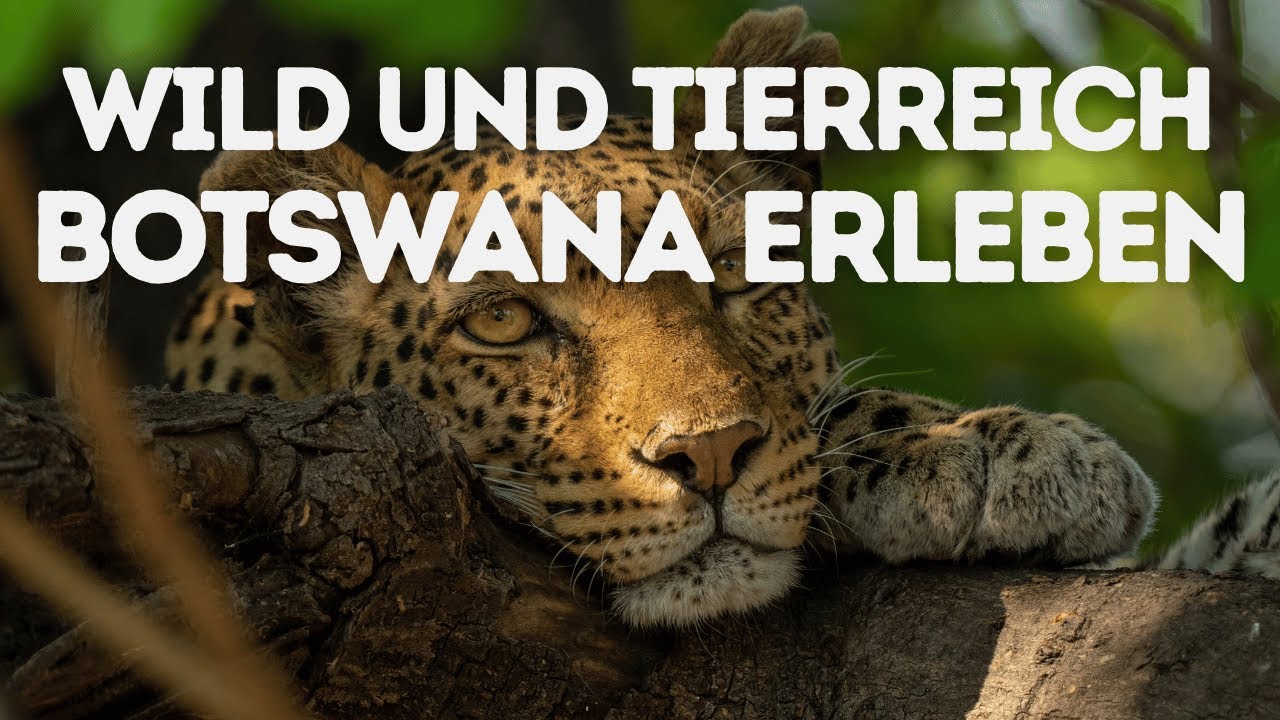 Selbstfahrerreise durch Namibia und Botswana - Der wilde Teil Botswanas - African Dreamtravel