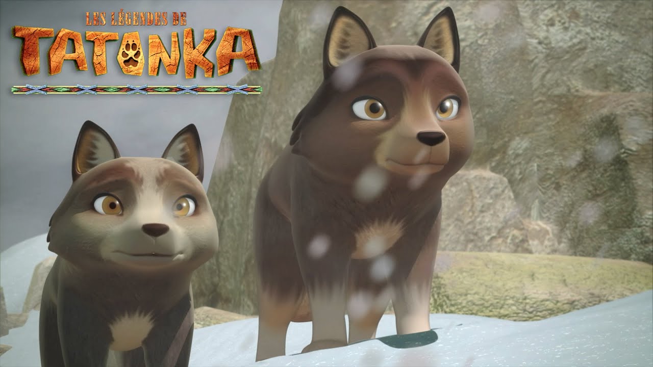 Attention à la tempête 🌪️ Dessins animés de loups 🐺