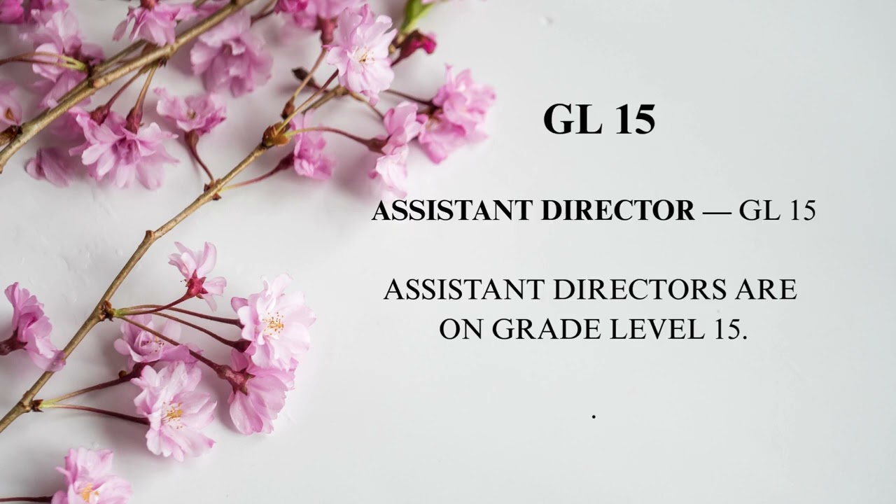 Administrative Officer Titles & Grade Levels (GL 08–17) | Nigerian Civil Service 
