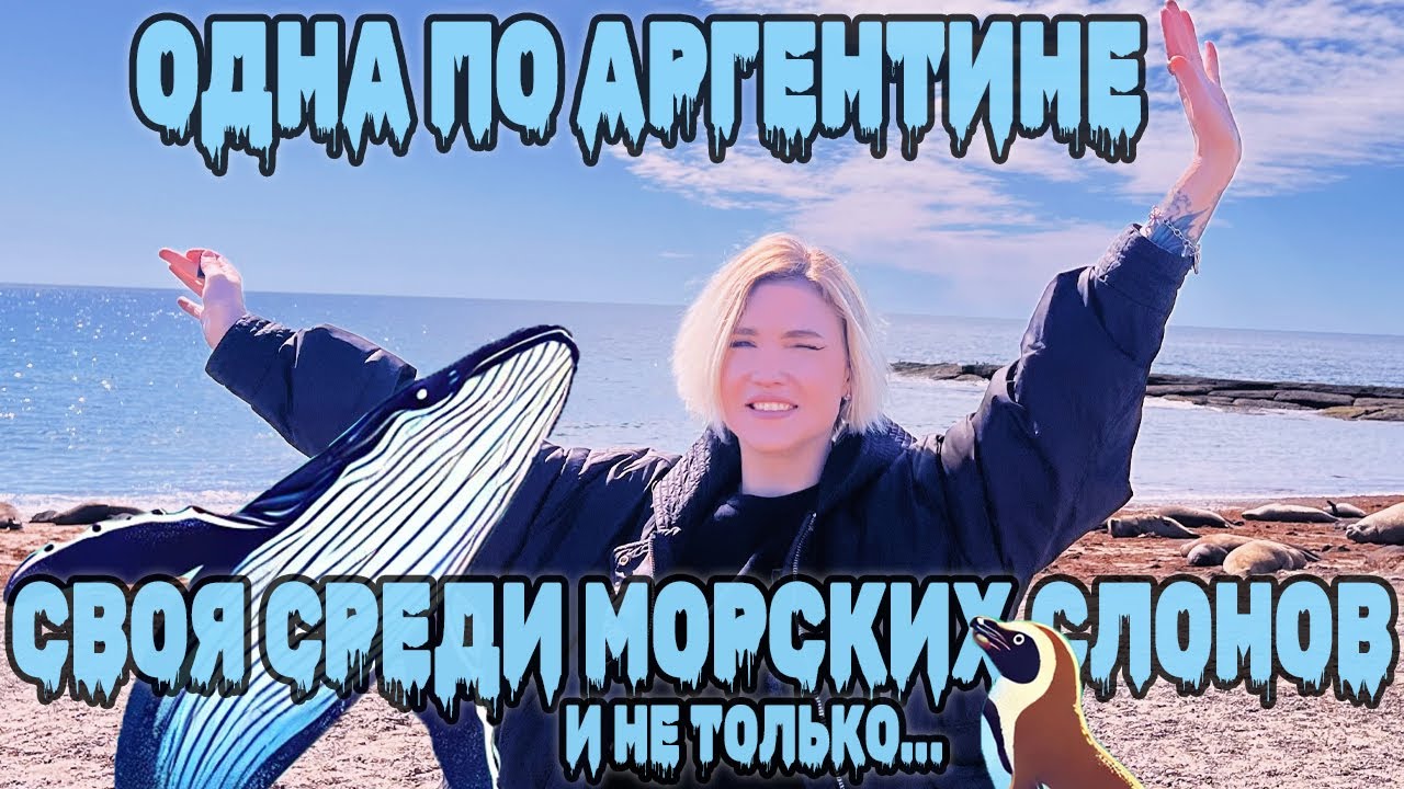 Аргентина в соло. ПУЭРТО-МАДРИН: Пингвины, киты и морские львы стали мне лучшими друзьями.