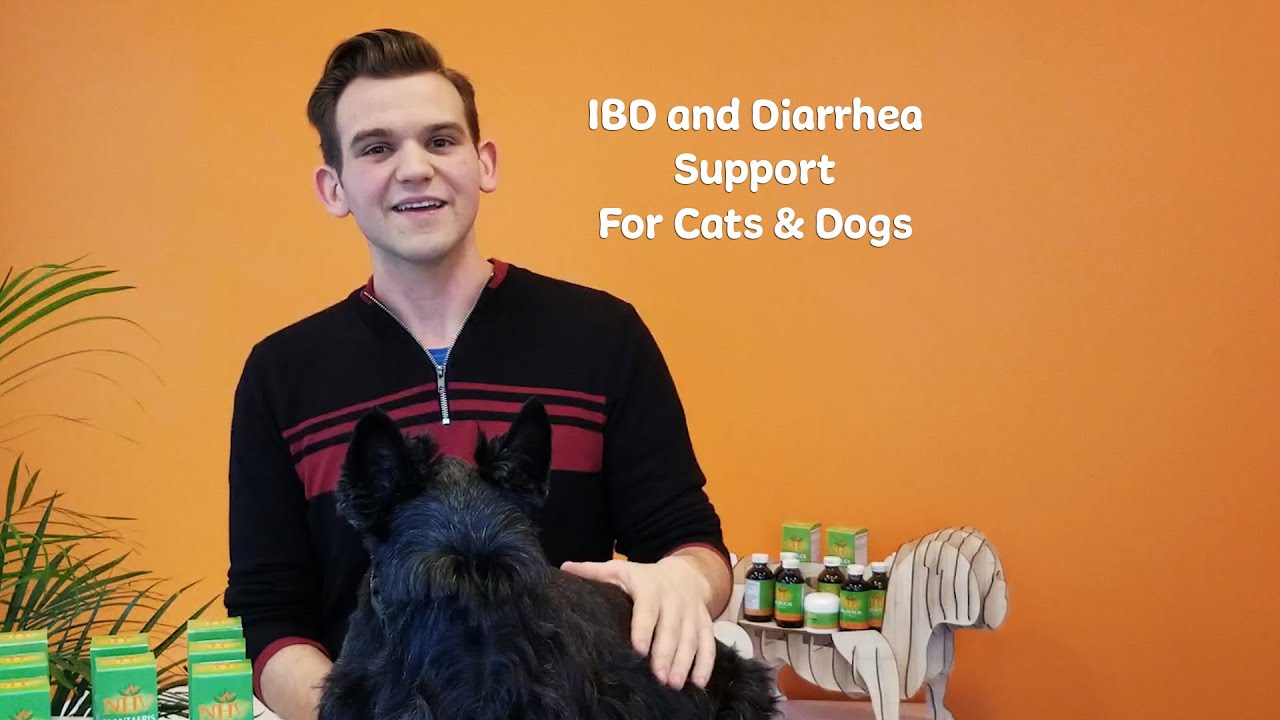 NHV Plantaeris - IBD and Diarrhea Support for Cats & Dogs