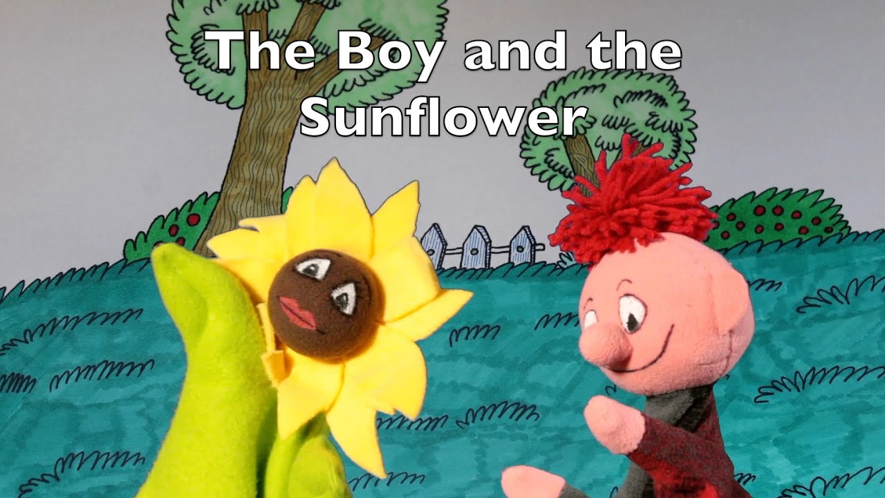 The Boy and the Sunflower