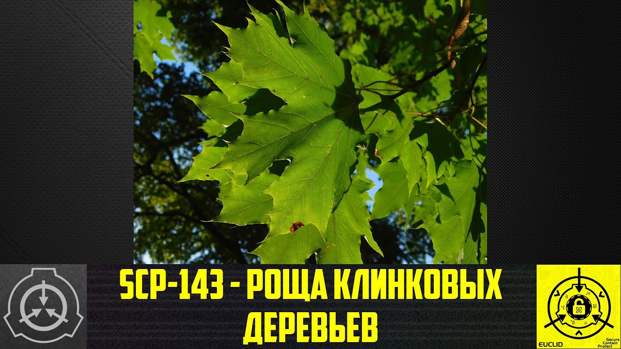 SCP-143 - Роща клинковых деревьев 【СТАРАЯ ОЗВУЧКА】