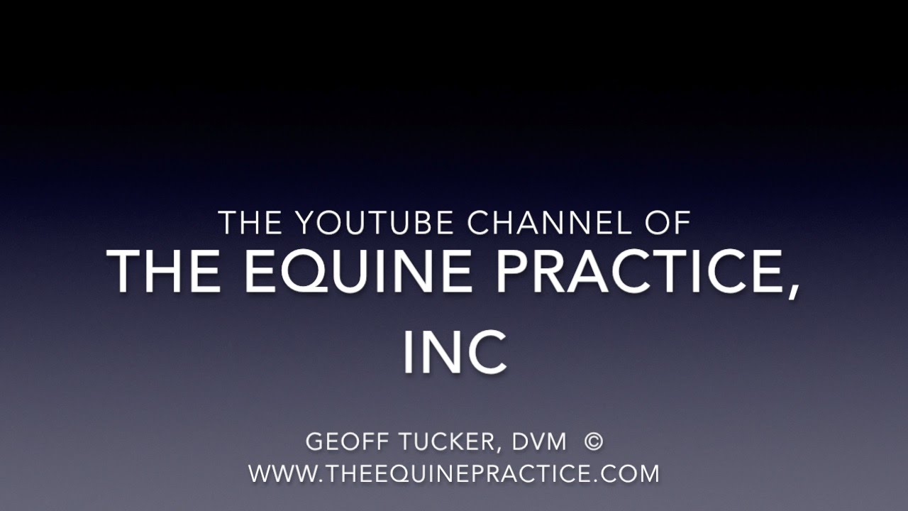 Dr Geoff Tucker DVM Channel Intro