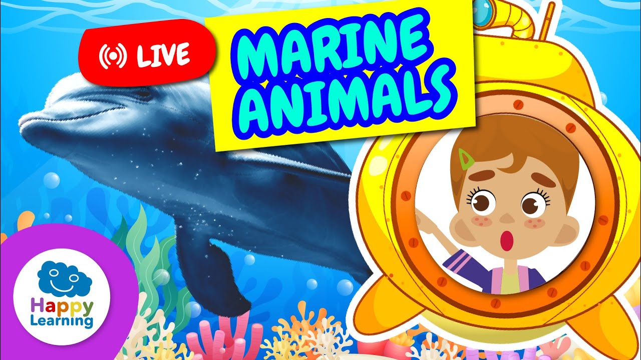 🔴LIVE | 🐠🐋 Fun Facts About Marine Animals | Educational Videos for Children | @HappyLearningEN