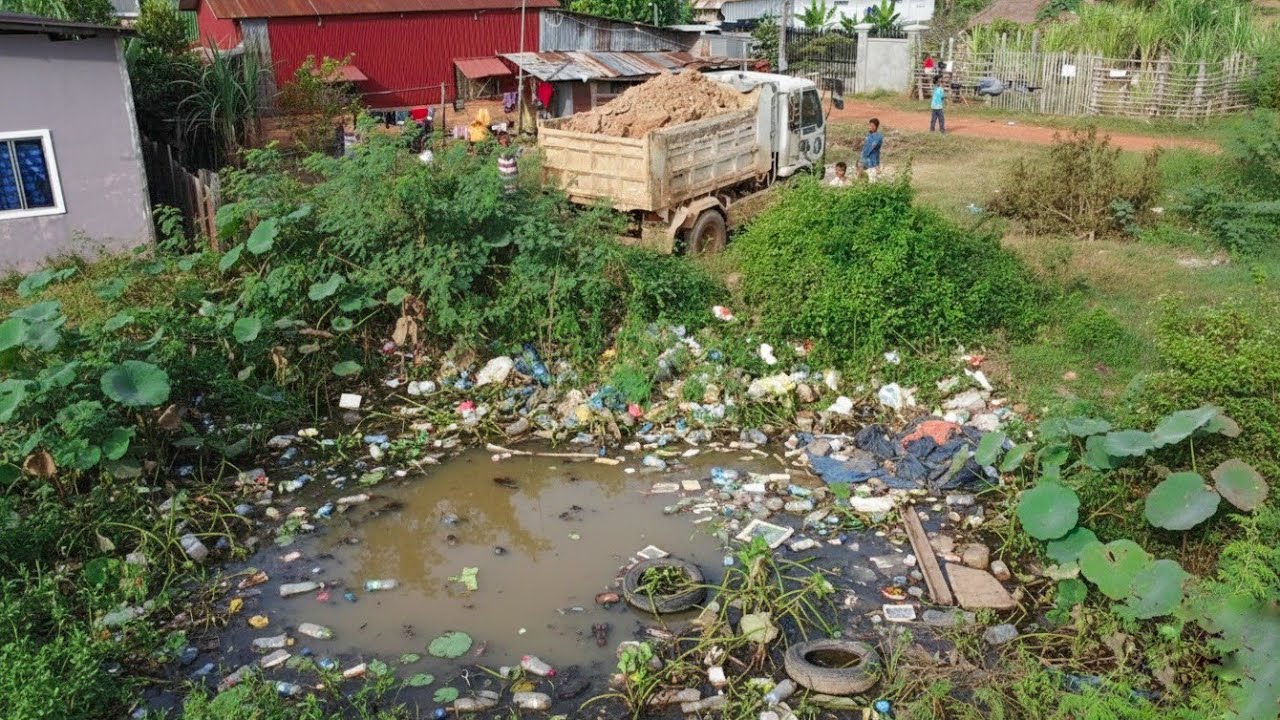 Amazing Dump truck Start dumping rock soil and push clearing flooded forest by Small dozer