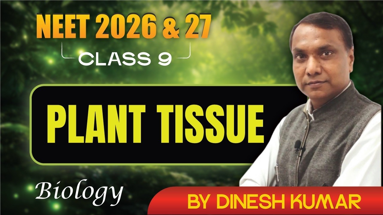 Top 4 PLANT TISSUE FUNCTIONS That Will Amaze You