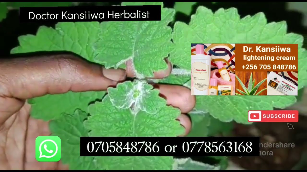 FUNZA EMANA BWOTI - N'EDDAGALA ELIFUNZA NABUNYA MUDAKIIKA ENTINI BY KANSIIWA STORE
