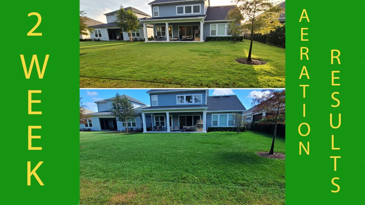 Do You Need To Aerate Your St. Augustine or Zoysia Lawn?!?! (2 week results)