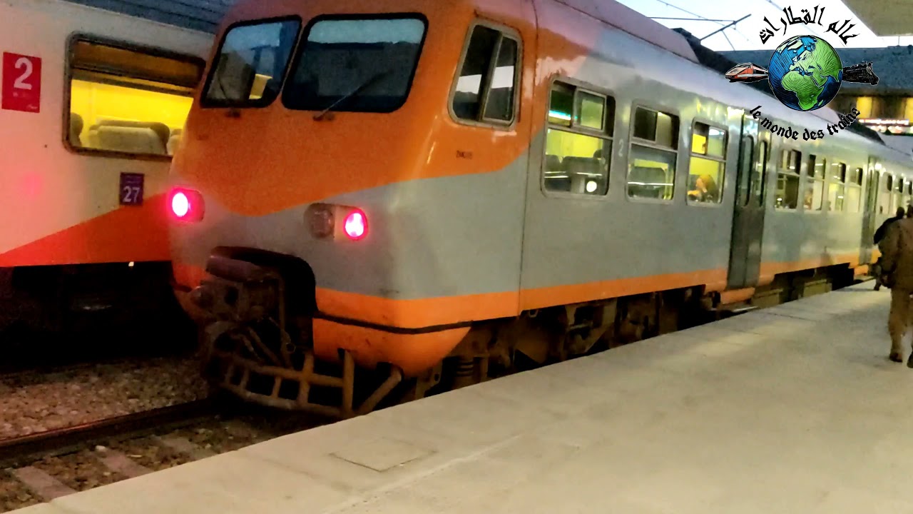train ZM - AM80