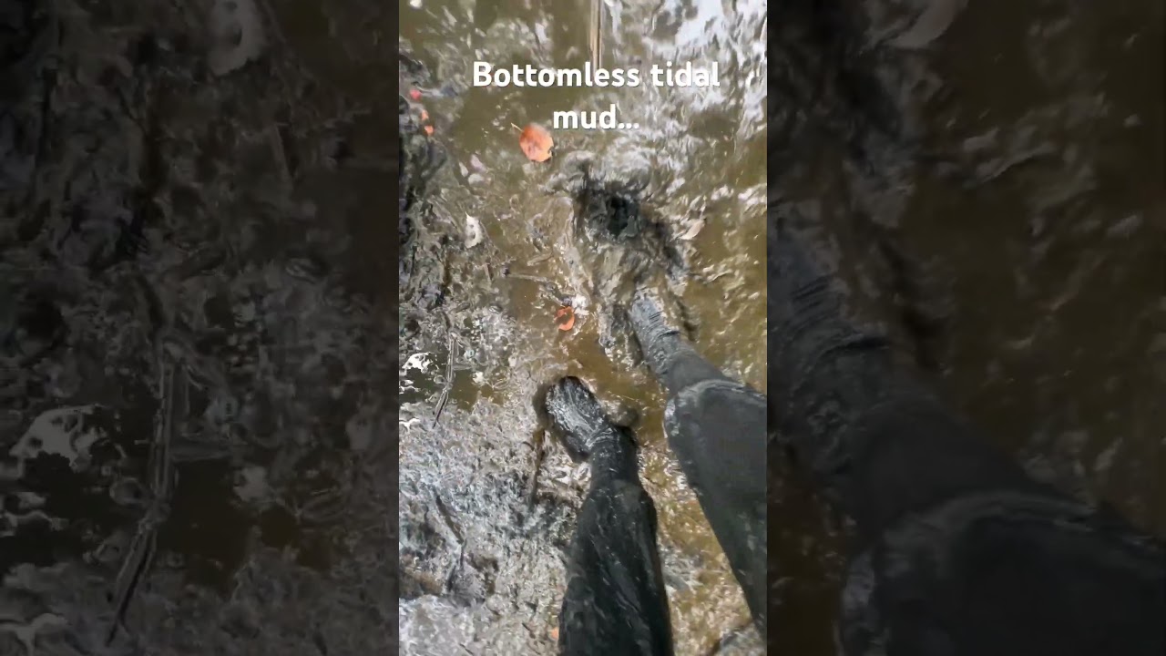 Bottomless tidal mud sneakpeak.