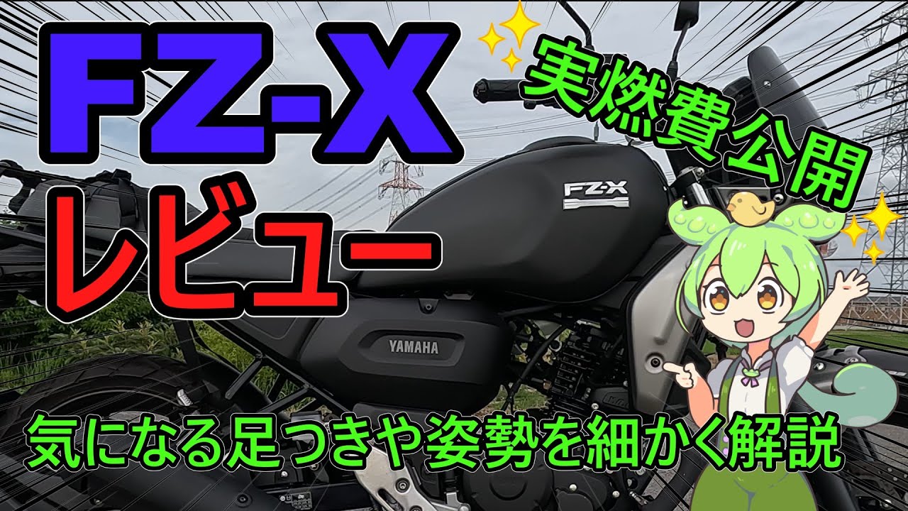 ヤマハFZ-X150 レビュー ＆ 実燃費【150cc】