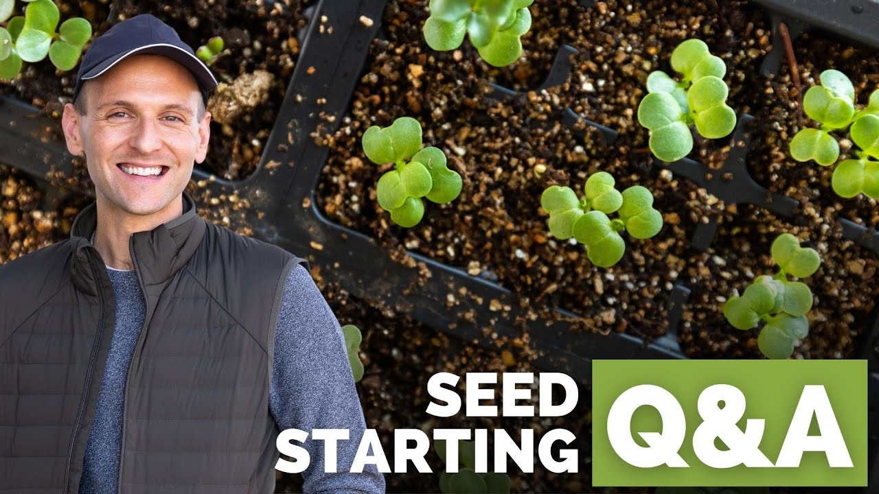 How to Start Seeds + YOUR Top 10 Questions on Starting Seeds