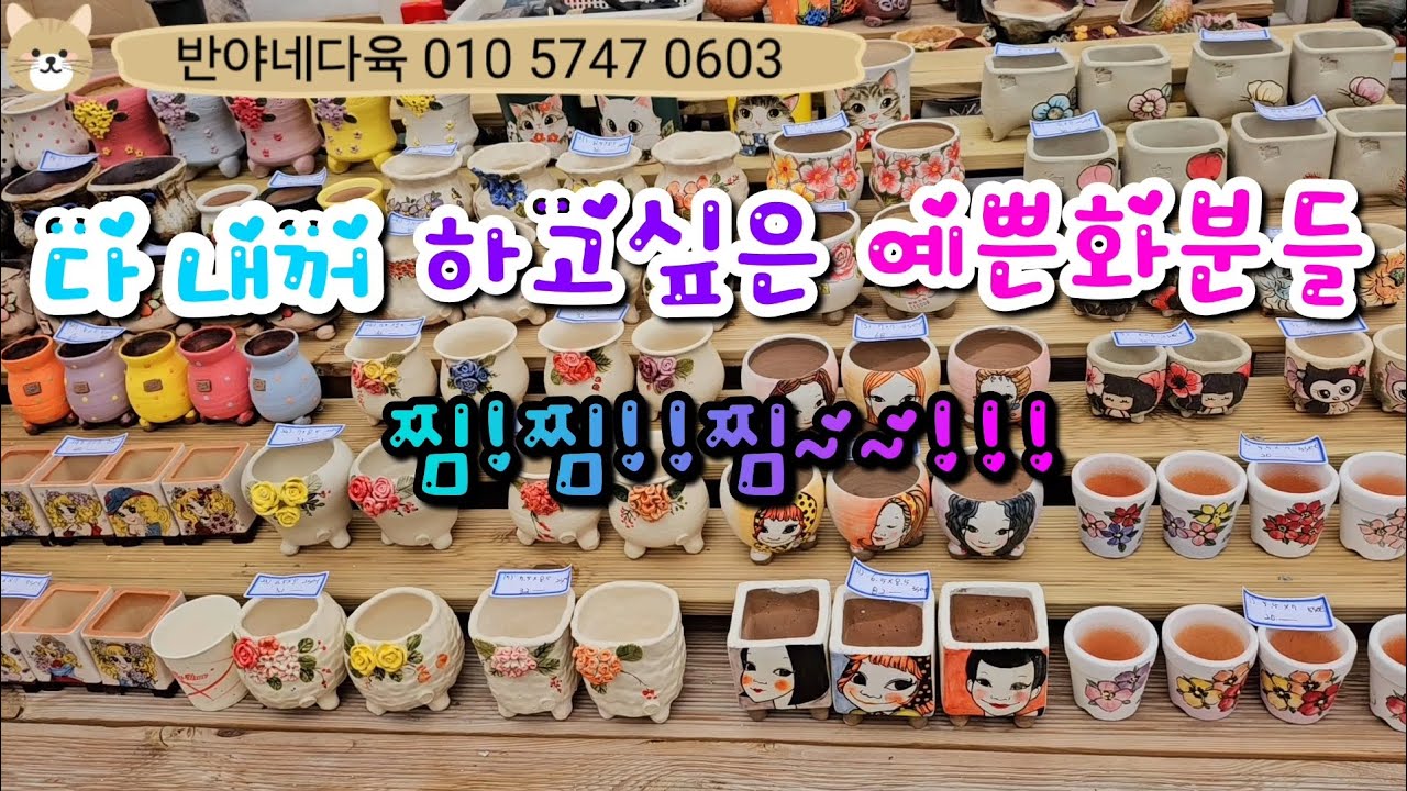 25.3.3(판매영상1부)다 내꺼하자~~찜하고보자~~!!#반야네다육 010-5747-0603