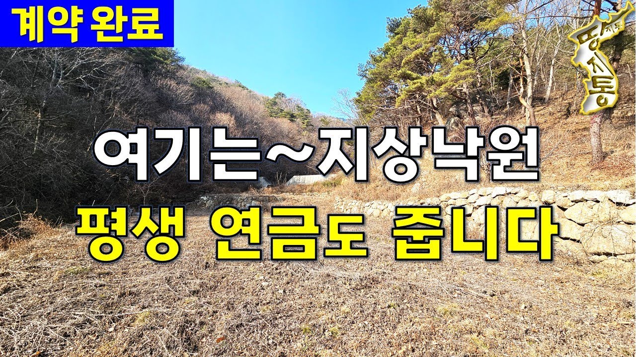 (계약완료)평당9천원짜리 지상낙원~상속되는 연금도 평생 줍니다.국유림 산자락 계곡물 철철철~[땅지통]