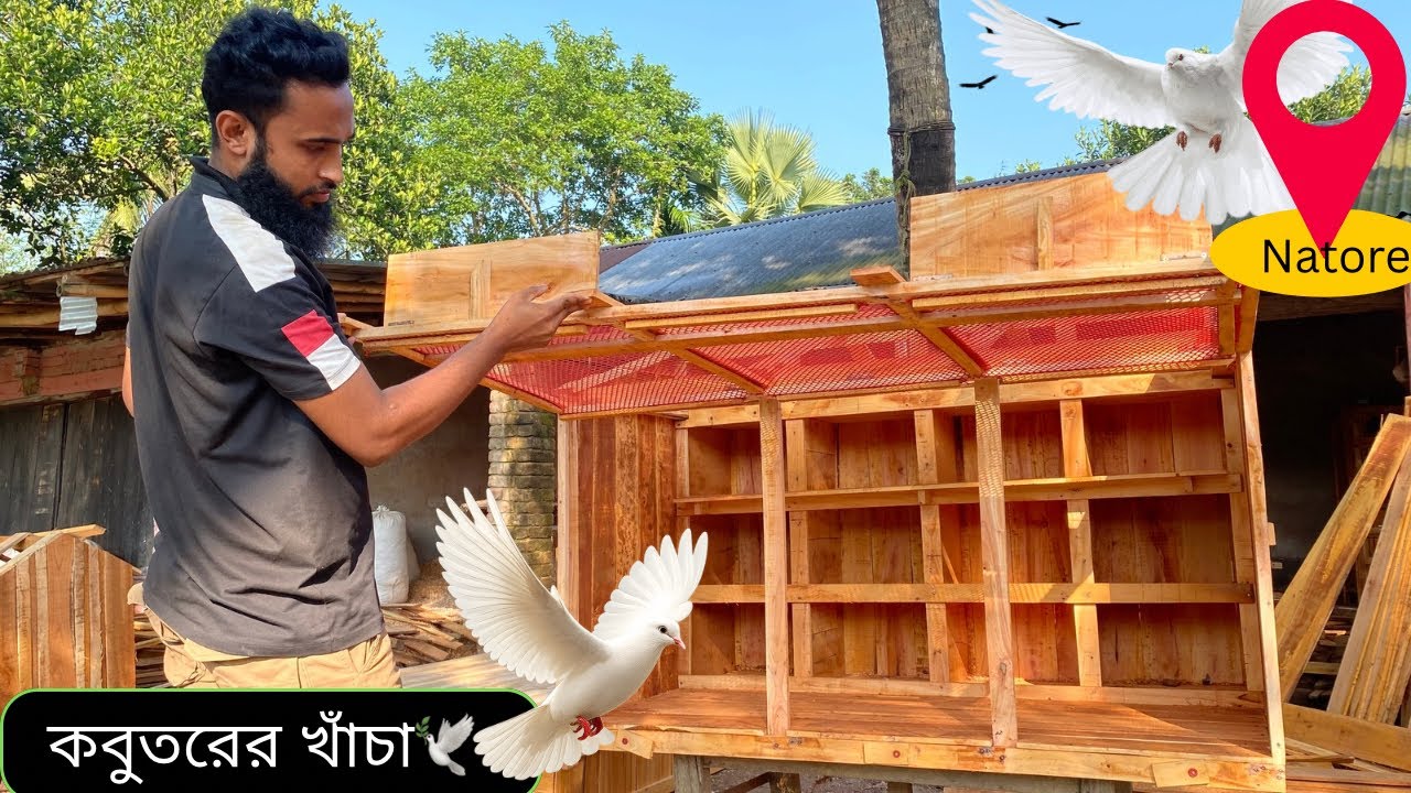 নোয়াখালীতে পাঠানো হলো কবুতরের খাঁচাটি আলহামদুলিল্লাহ। 