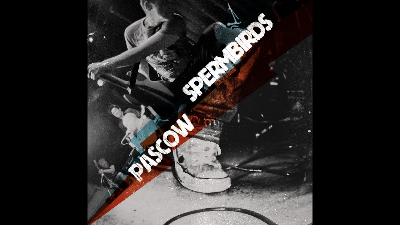 Pascow & Spermbirds - Split Single (Rookie Records) [Full Album]