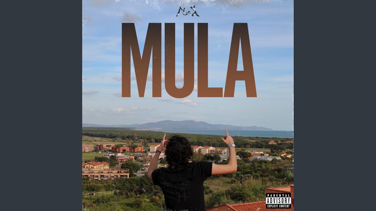 Mula
