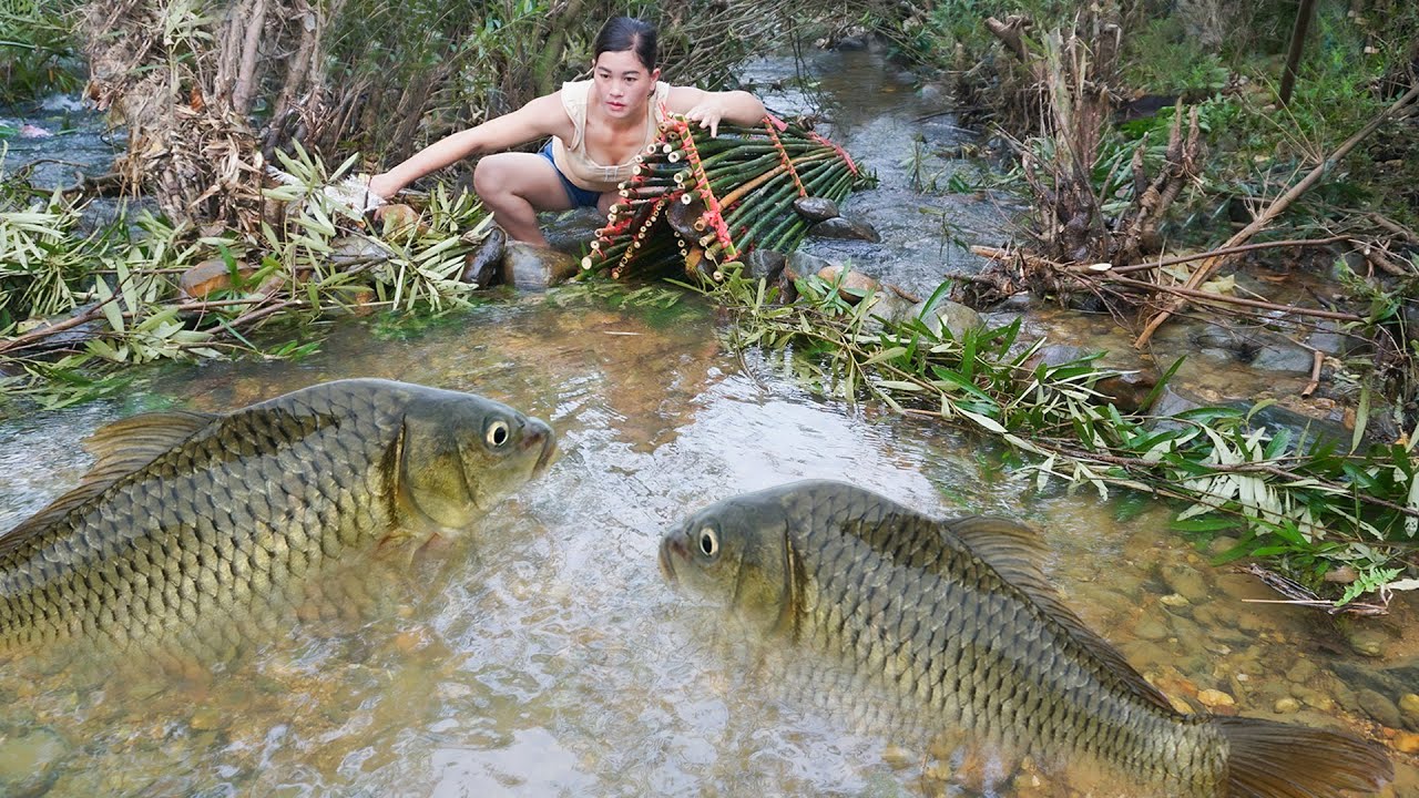 Unique Fishing: Smart village girl built a fish trap using bamboo tube catch many fish