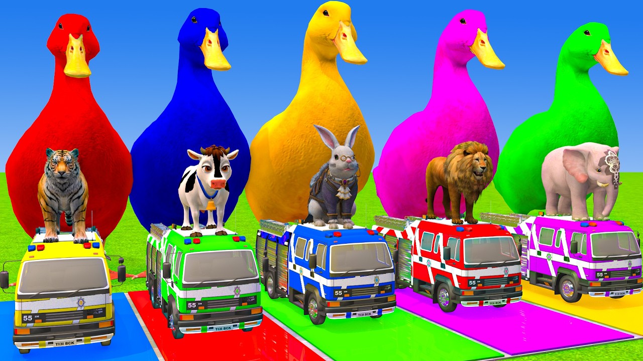 Long Slide Game With Cow Elephant Gorilla Hippopotamus Tiger - 3d Animal Game - Funny 3d Animals