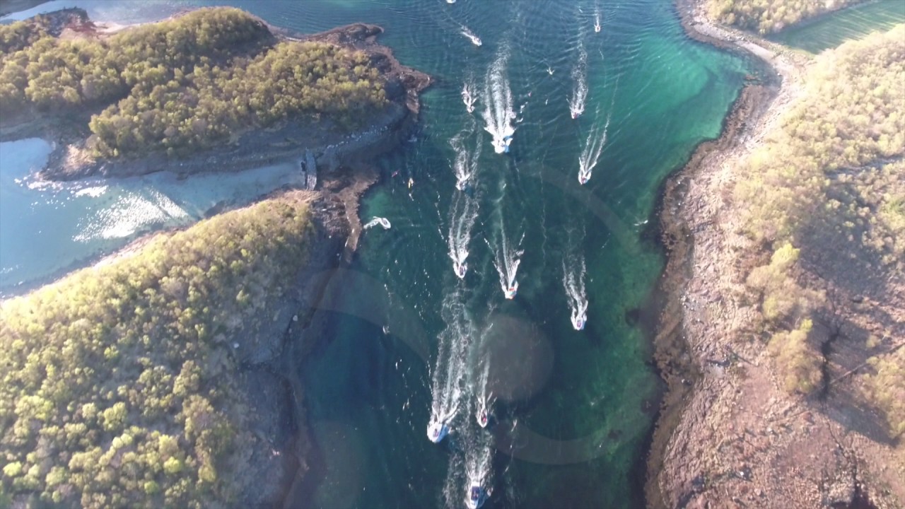 Rescue operation of 5 trapped orcas in a bay in Norway!!!