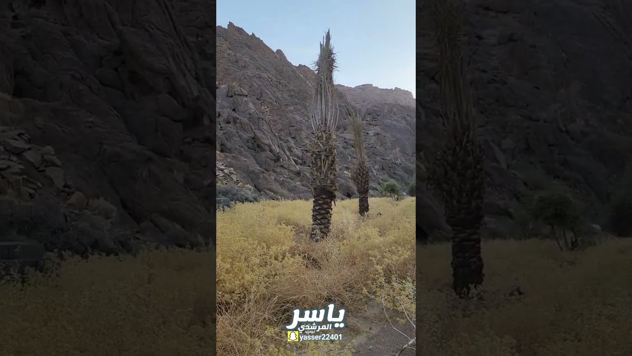 تلعة المغوّاة بحائل . اعداد/ ياسر عبدالرحمن المرشدي