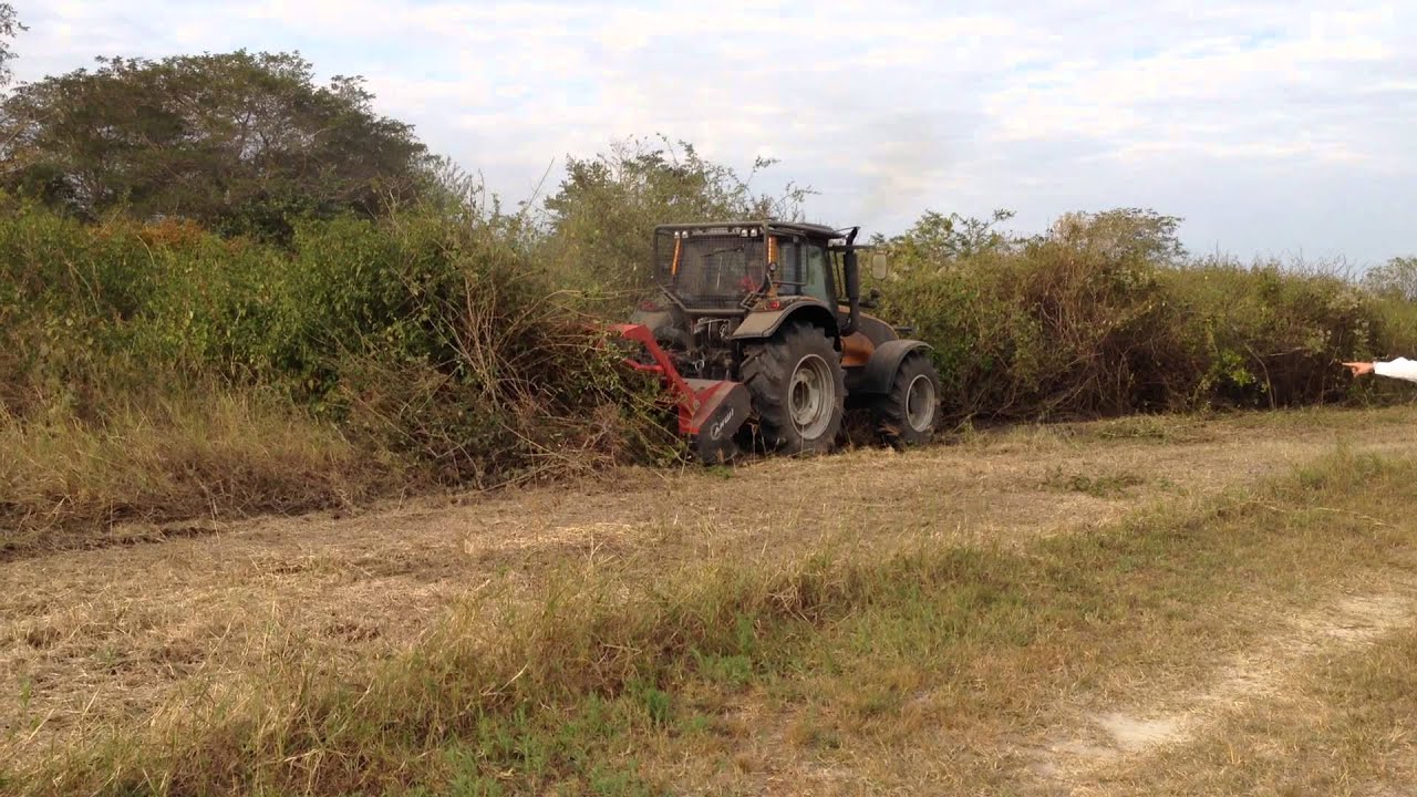 Valtra T191 H AHWI Mulcher FM600