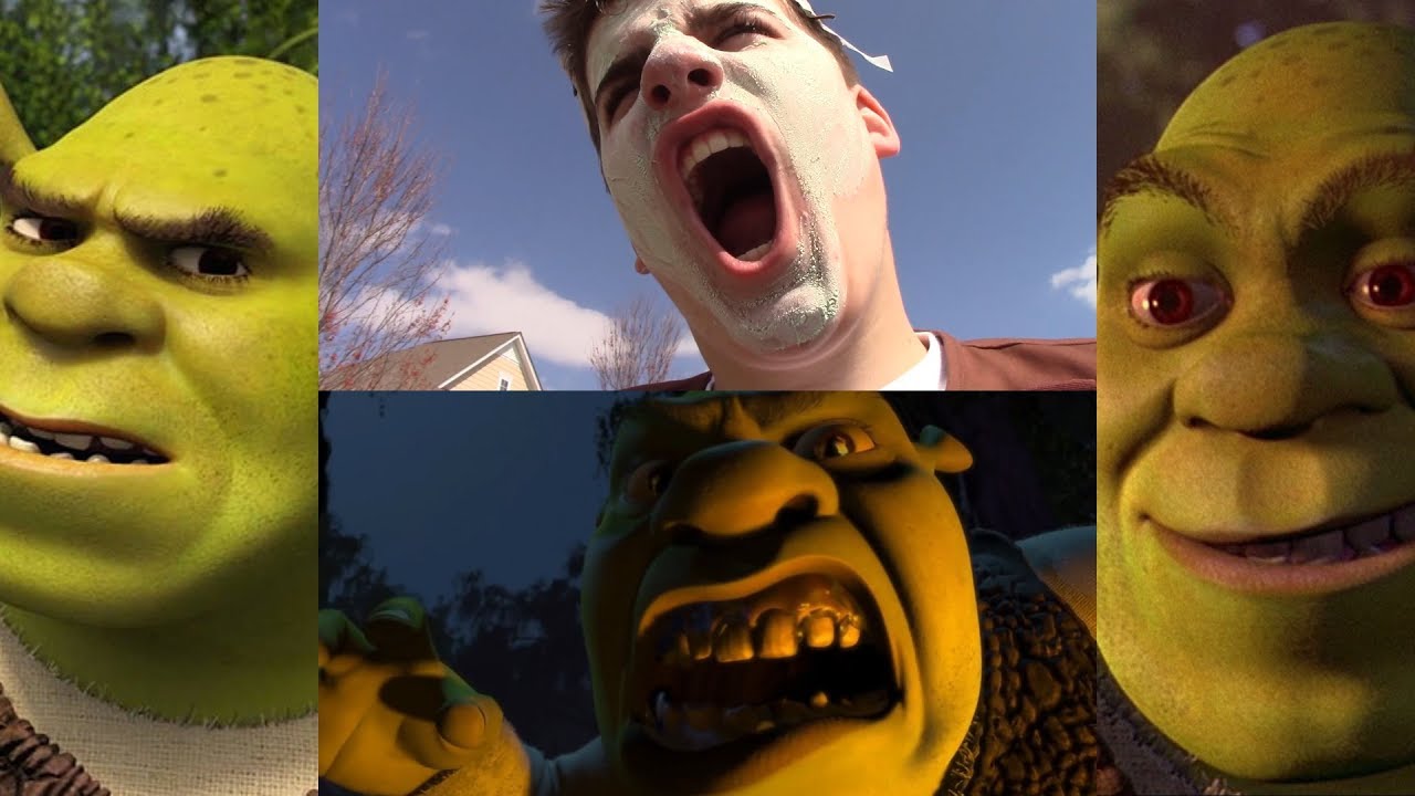 Shrek Comparison