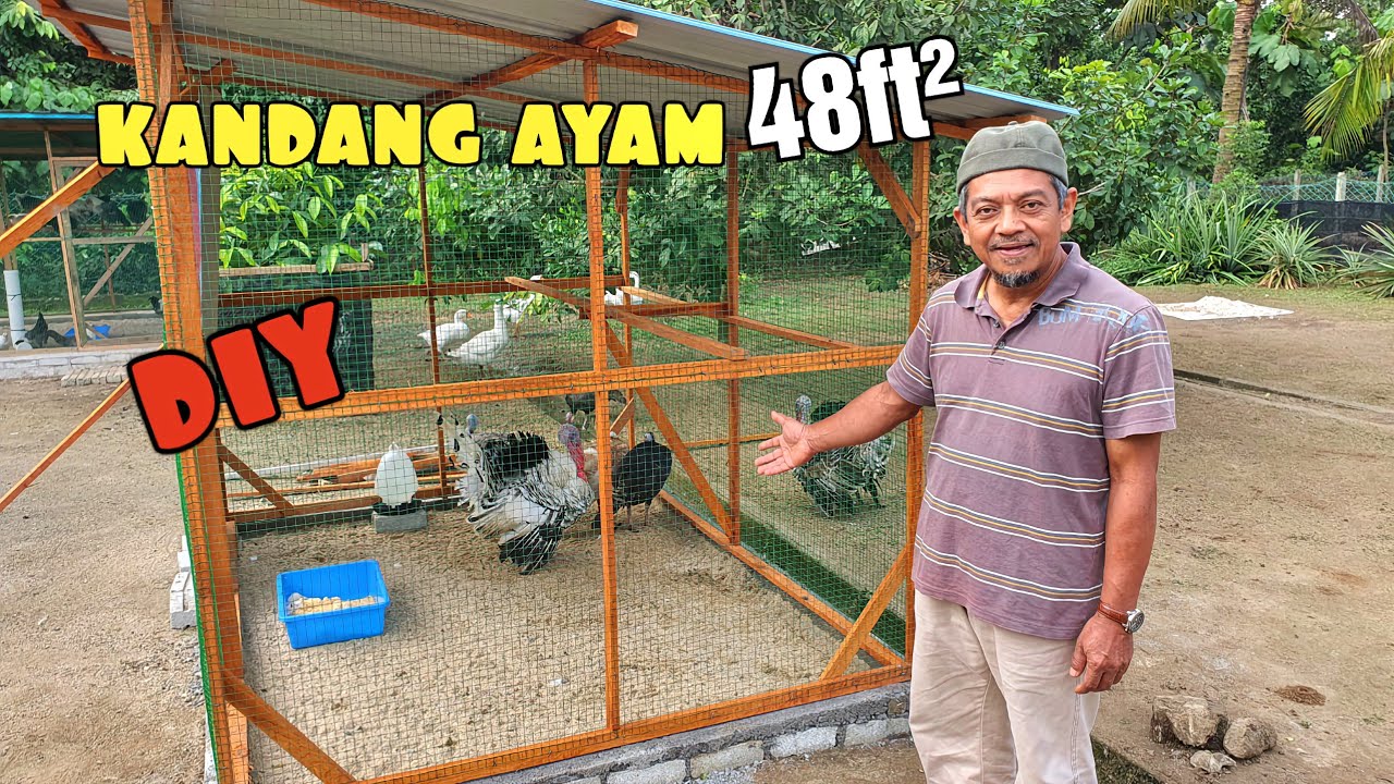 ✅️ KANDANG AYAM SAIZ SEDERHANA || SESUAI RUANG SEMPIT CUMA 48 KAKI PERSEGI