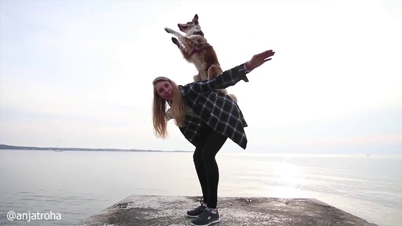 🤣 Funniest and Cutest 🐶 Dogs - Mega Compilation #3 - Animal Joy 😇