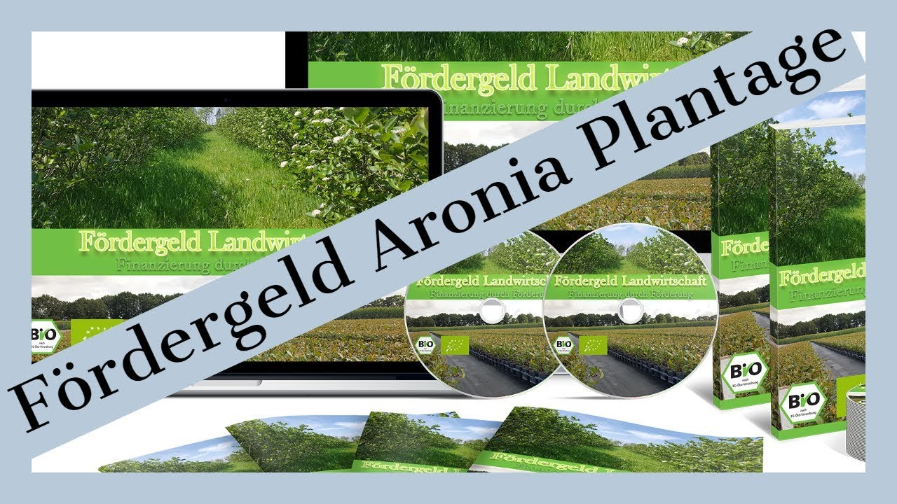 Finanzierung Aronia Plantage durch F&ouml;rdergelder - 54.440 &euro; nach 5 Jahren