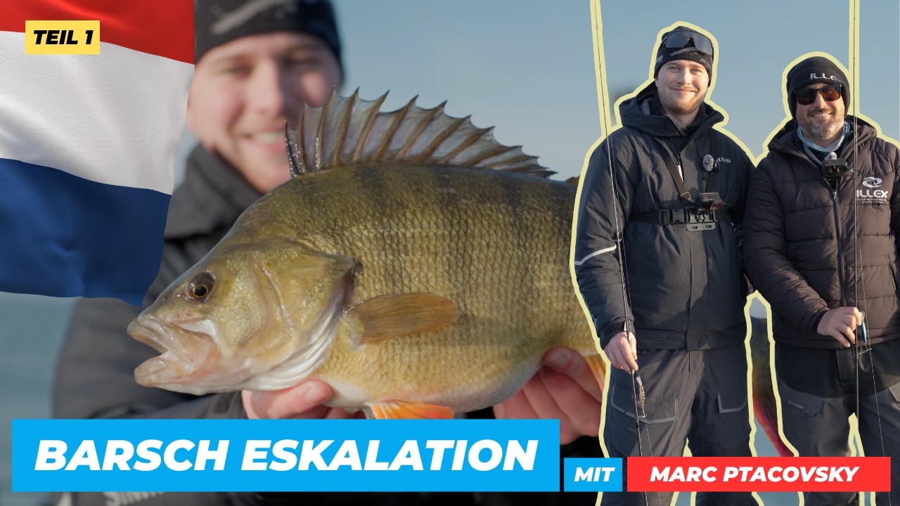 EXTREME SPOT JAGD &ndash; so haben wir den Hot Spot voller Barsche gefunden!