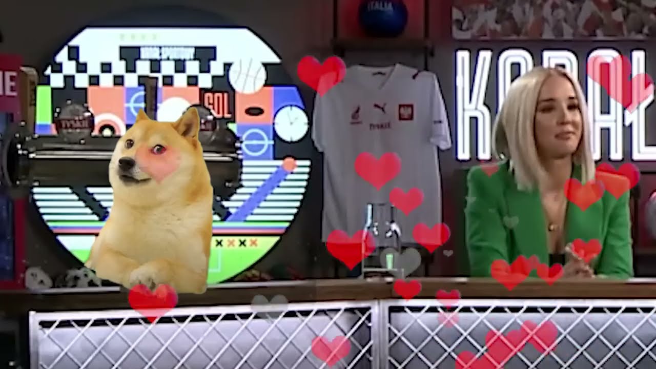 Najbardziej LEGENDARNY moment w HejtParku