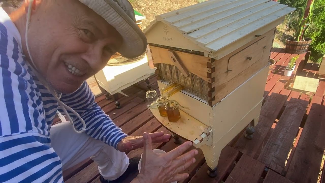 ОПЯТЬ сливаем МЕД из АВСТРАЛИЙСКОГО УЛЬЯ - collecting honey again from Australian flow hive - 139