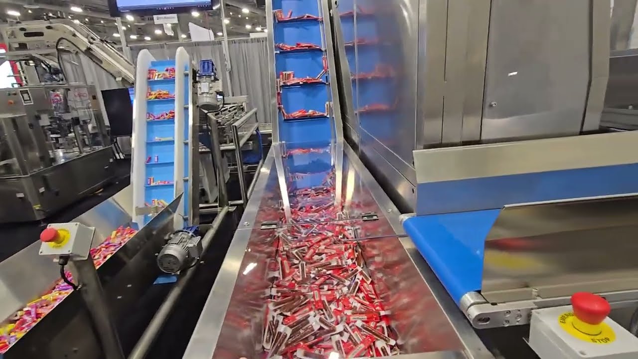 PXLV25 Meat Sticks into Pouch 1LR SB Index Conveyor CR8250Z