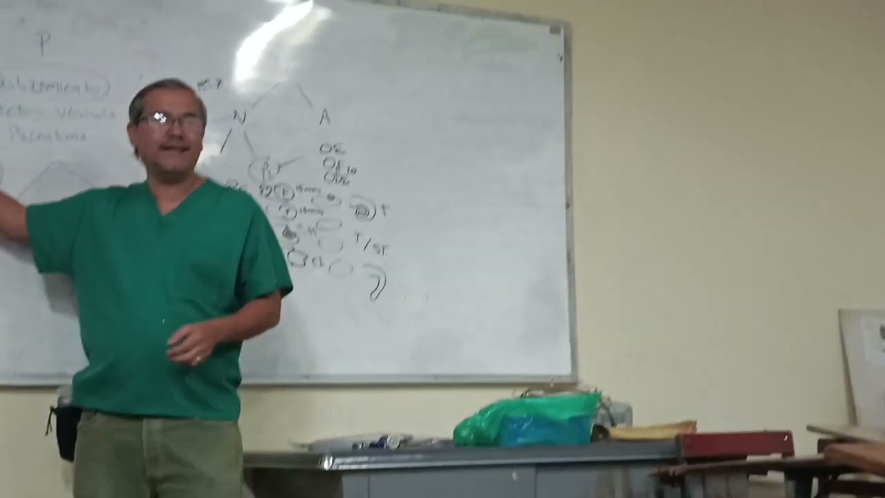 Repaso de repro 3