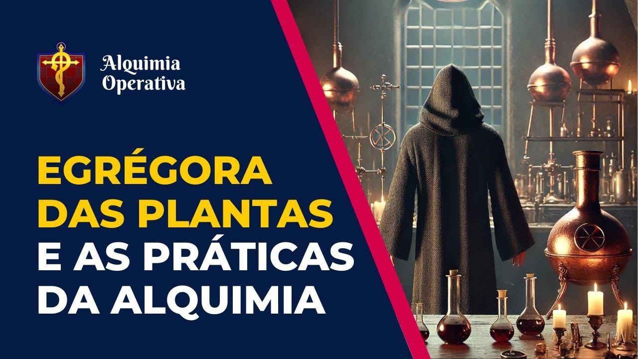 O Segredo da Egrégora das Plantas e a Quintessência Alquímica