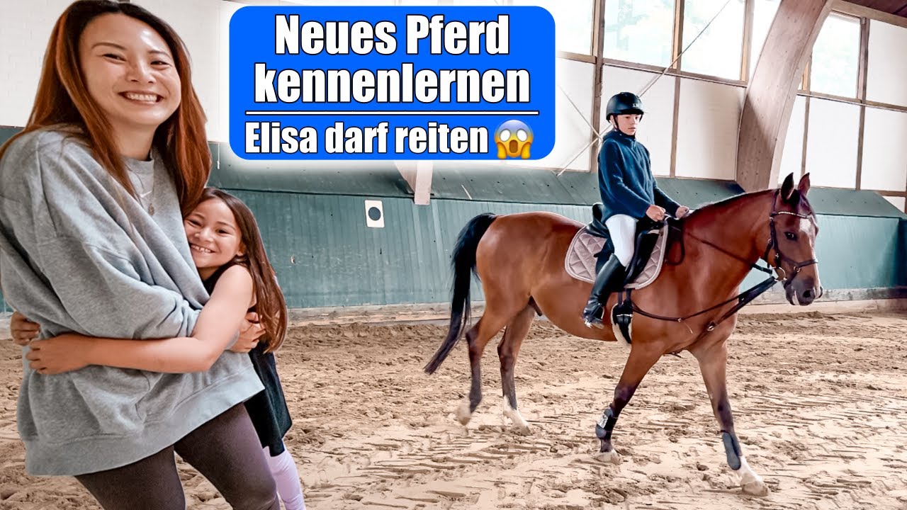 Eigenes Pferd für Clara 😍 Elisa reitet zum 1. Mal! Neues Pferd & Alltag auf Reiterhof! Mamiseelen