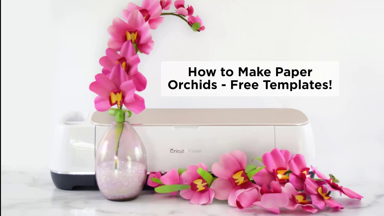 How To Make Paper Orchid Flowers - An Easy Tutorial #PaperCrafts | Abbi Kirsten Collections