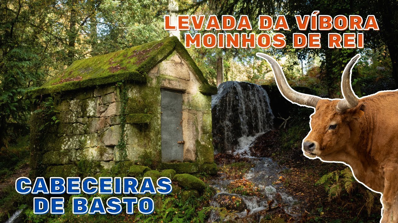 Najpiękniejszy jesienny szlak w Portugalii / Trilho mais bonito para o outono em Portugal