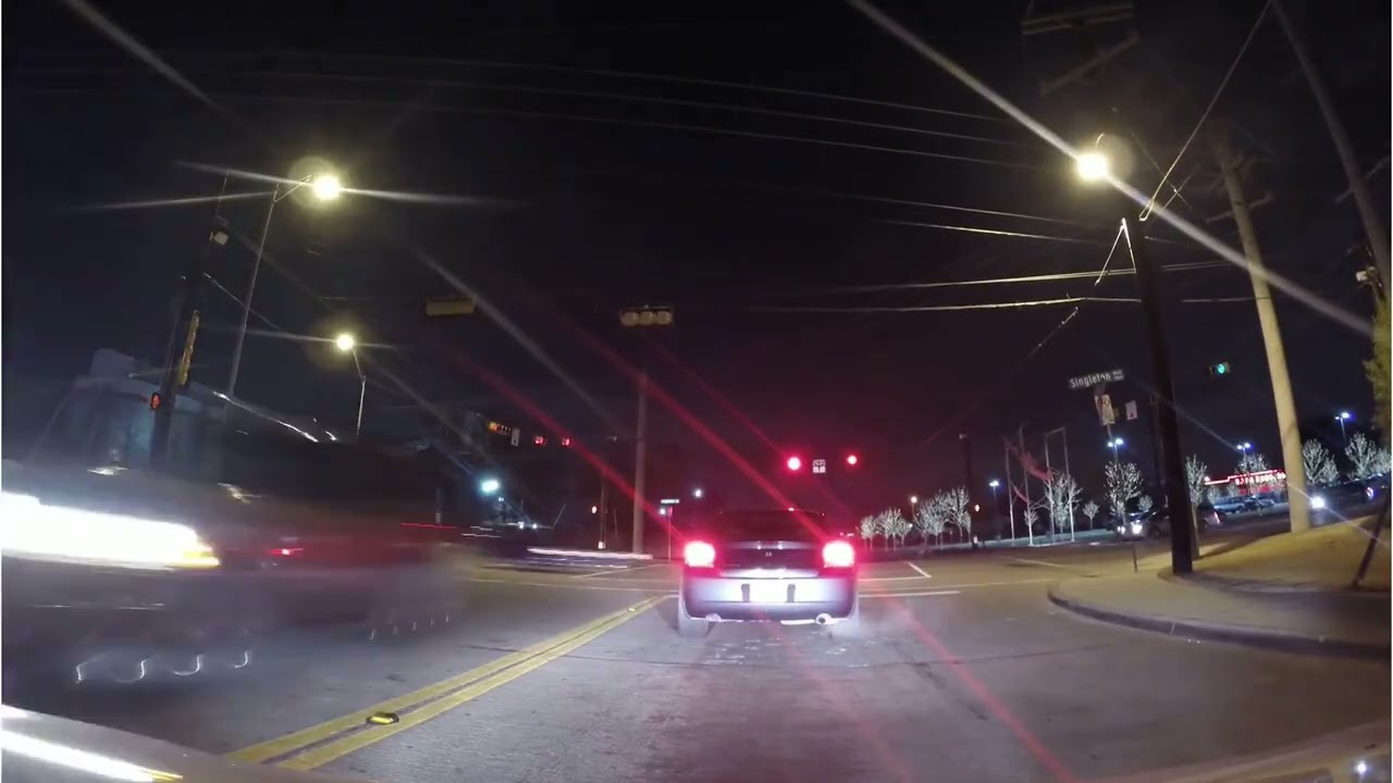 Lali Gordzamashvili Blue Violets