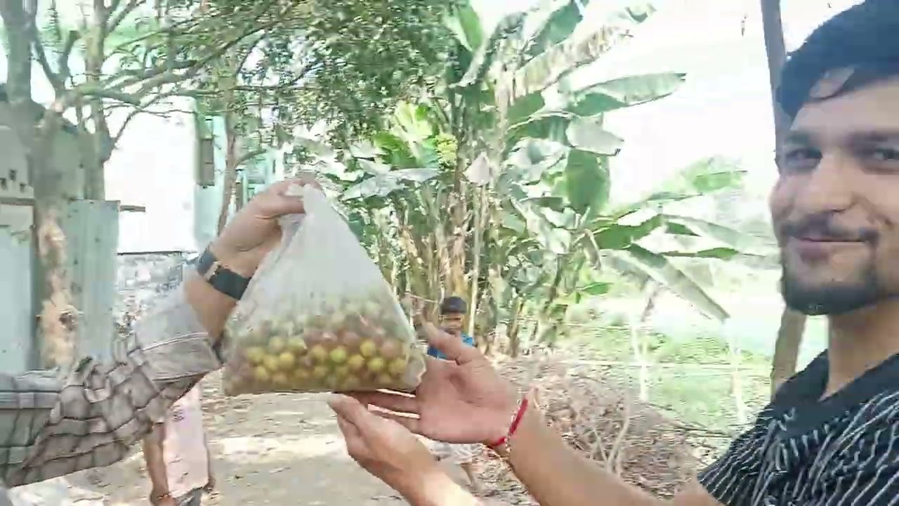 সরিষা খেত sridha khet