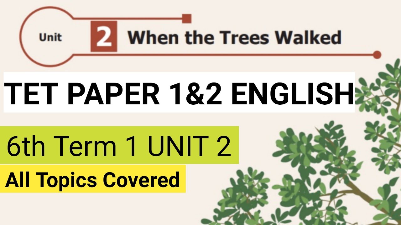 6th English Term 1 unit 2 || TET PAPER 2 ENGLISH