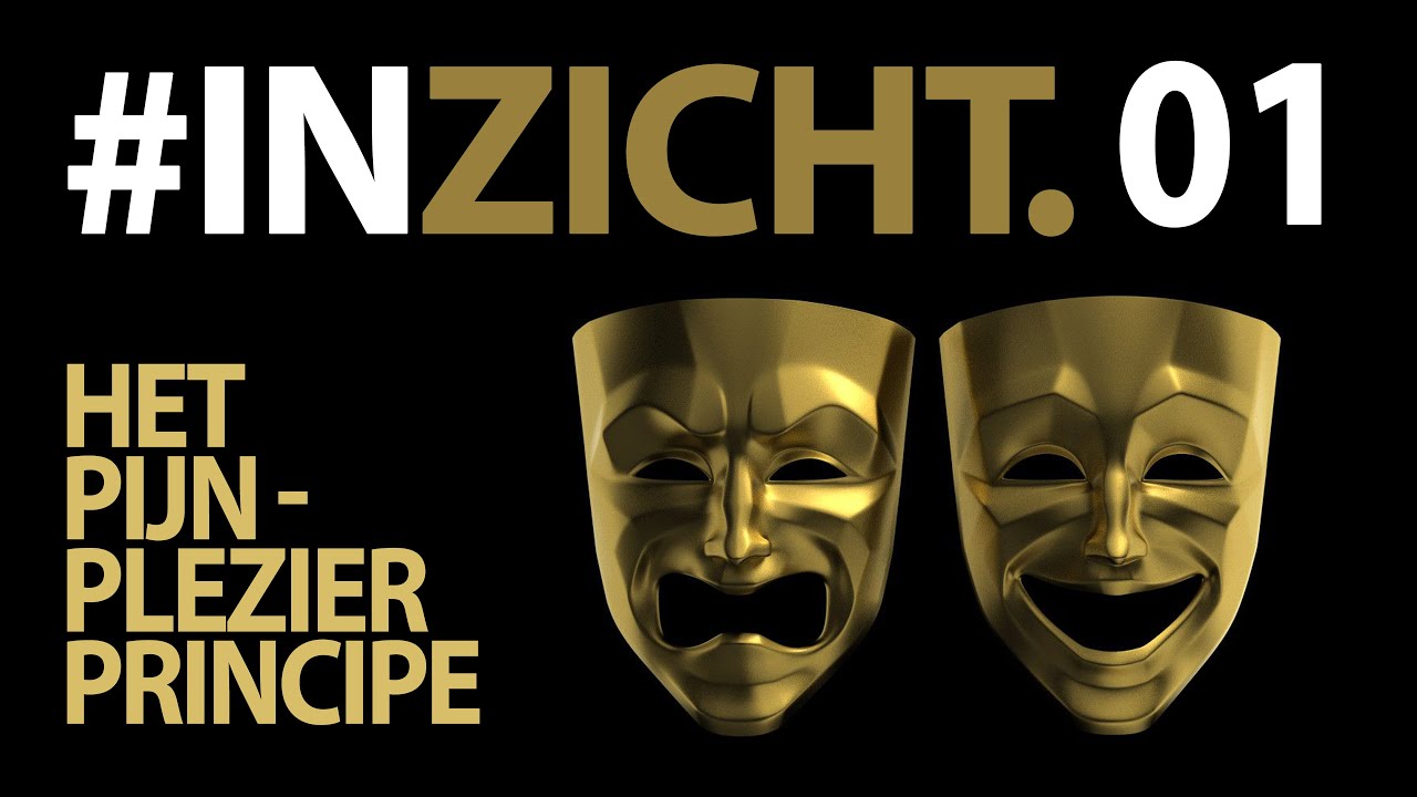 #inzicht 01 het pijn-plezier principe