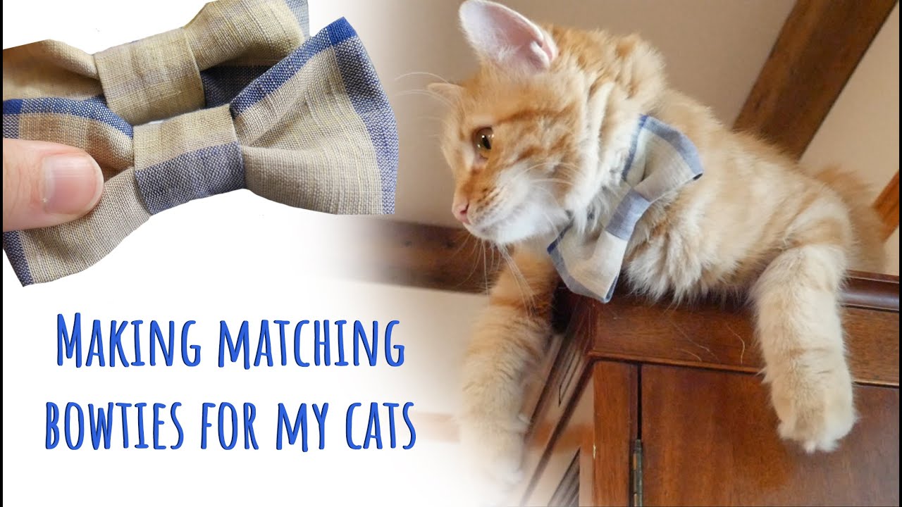 Making Matching Bowties for my Cats!