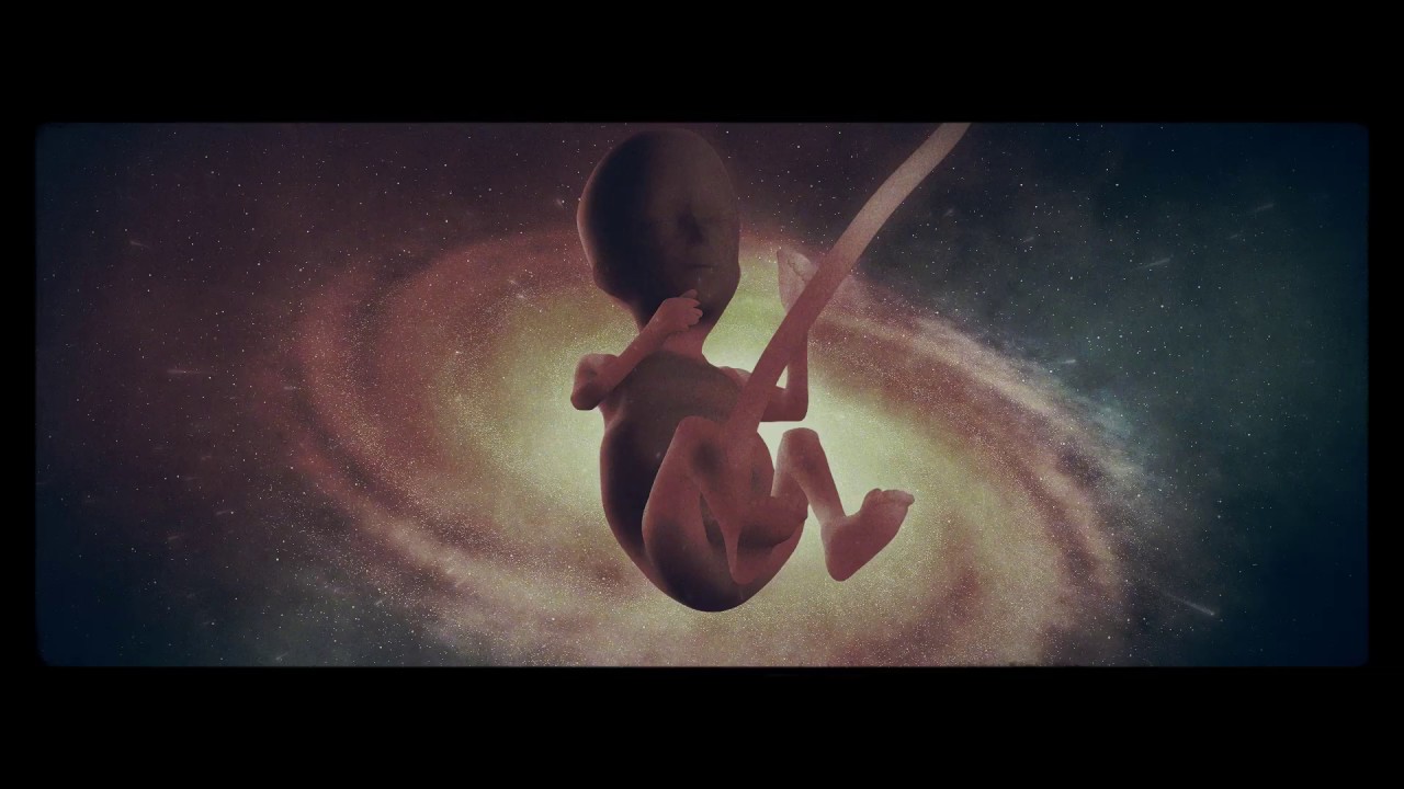CRIMORY - Freedom To Exist (Official Visual Video)